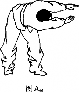 圖片5