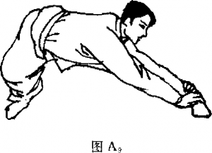 圖片8