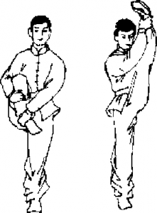 圖片15
