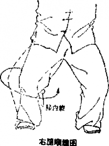 圖片5