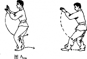 圖片31