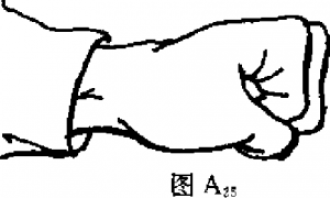 圖片1