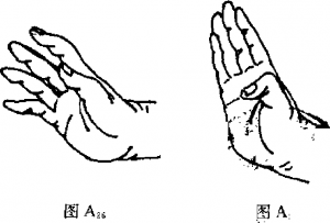 圖片2