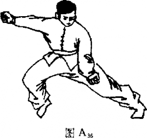 圖片13
