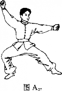 圖片14