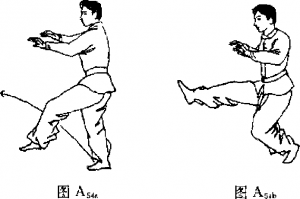 圖片5