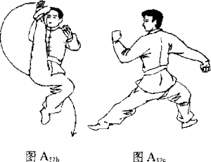 圖片8