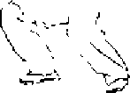 圖片19