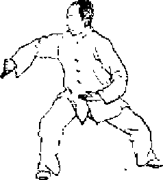 圖片11