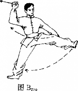 圖片46