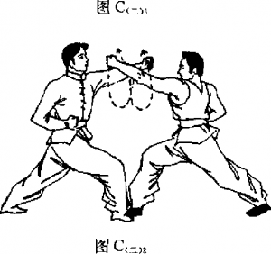 圖片7