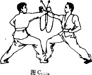 圖片9
