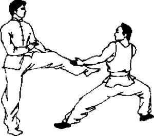 圖片12