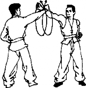 圖片14