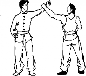 圖片17