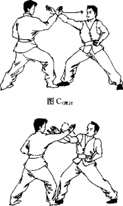 圖片19
