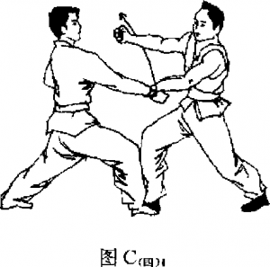 圖片20