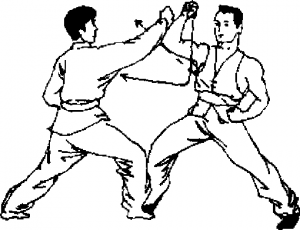 圖片21