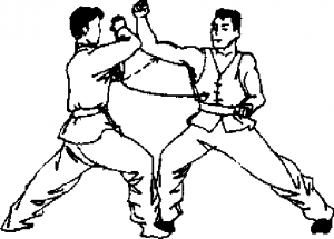 圖片27