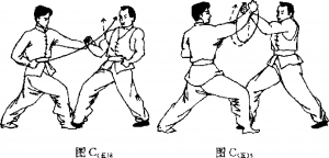 圖片31