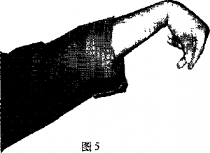 圖片3