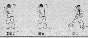 圖片17
