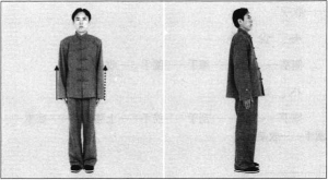 圖片1