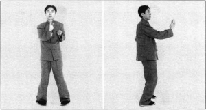圖片8