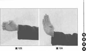 圖片8
