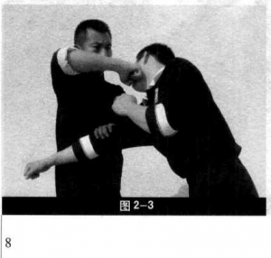 圖片9