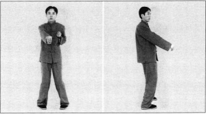 圖片67