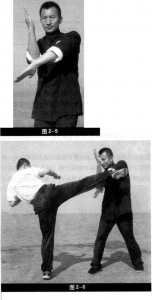 圖片12