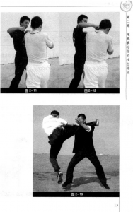 圖片17