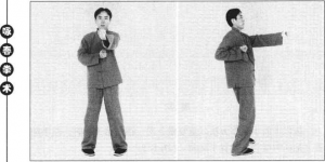 圖片100