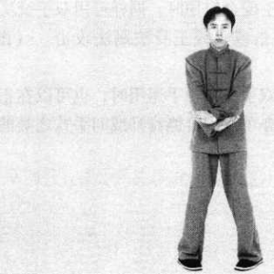 圖片113