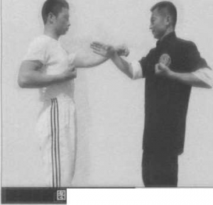 圖片8