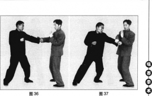 圖片127