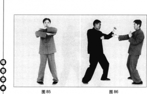 圖片155