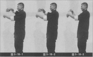 圖片12