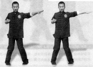 圖片31