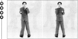 圖片5