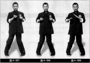 圖片101