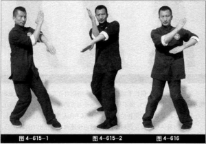 圖片5