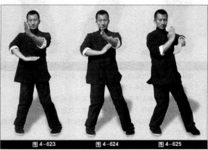 圖片8