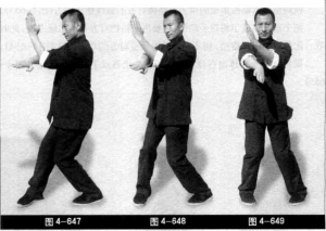圖片16