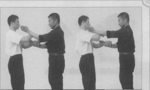 圖片47