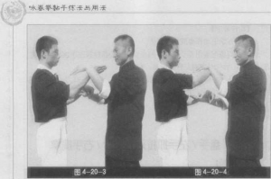 圖片31