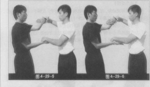 圖片113