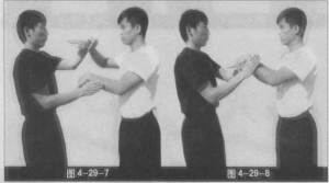 圖片114