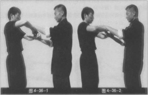 圖片165